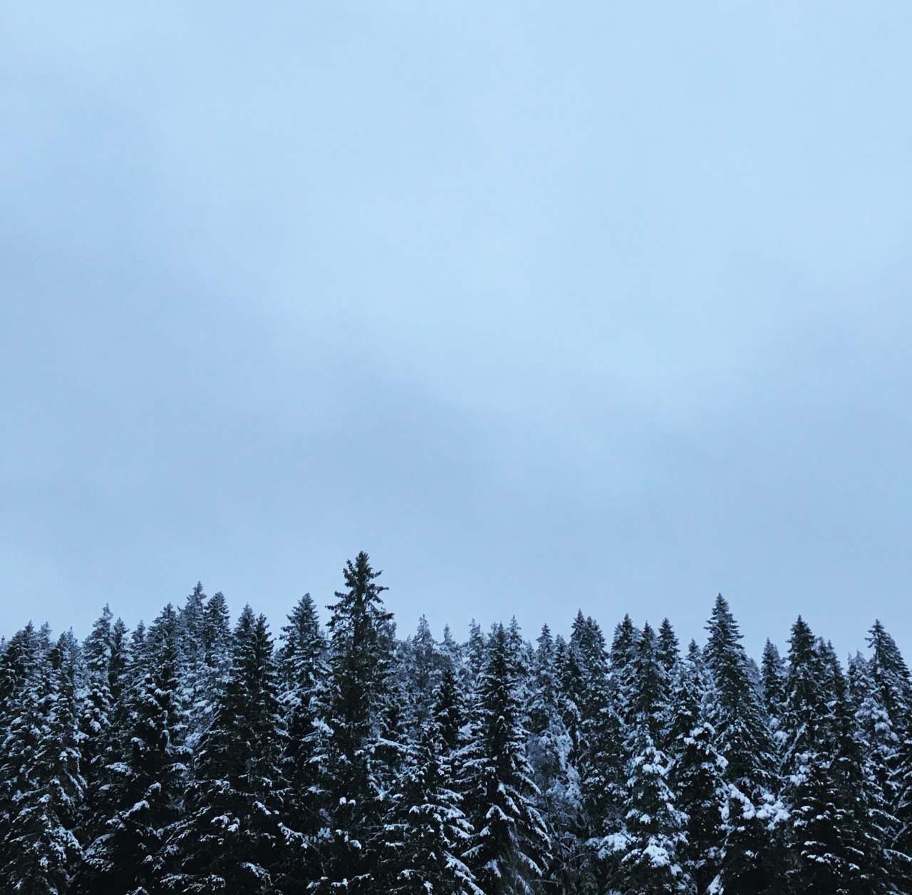 80639771_1721645231299330_6731626440590098432_o